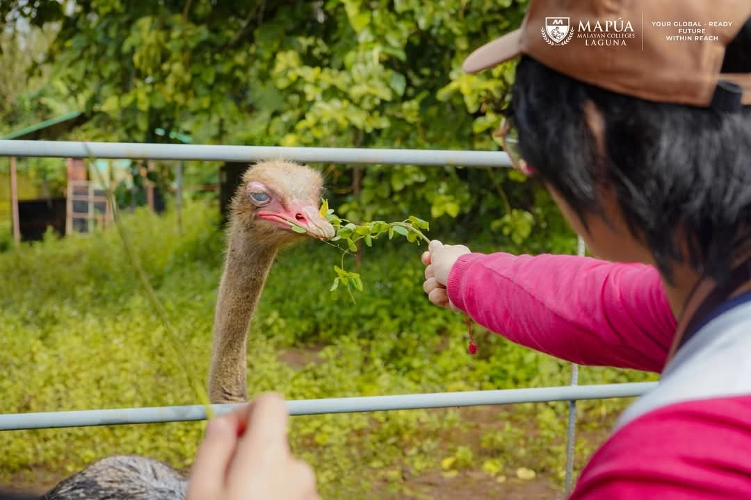 Article Image - Mapúa MCL CHS Students visit Esmeris Farm.